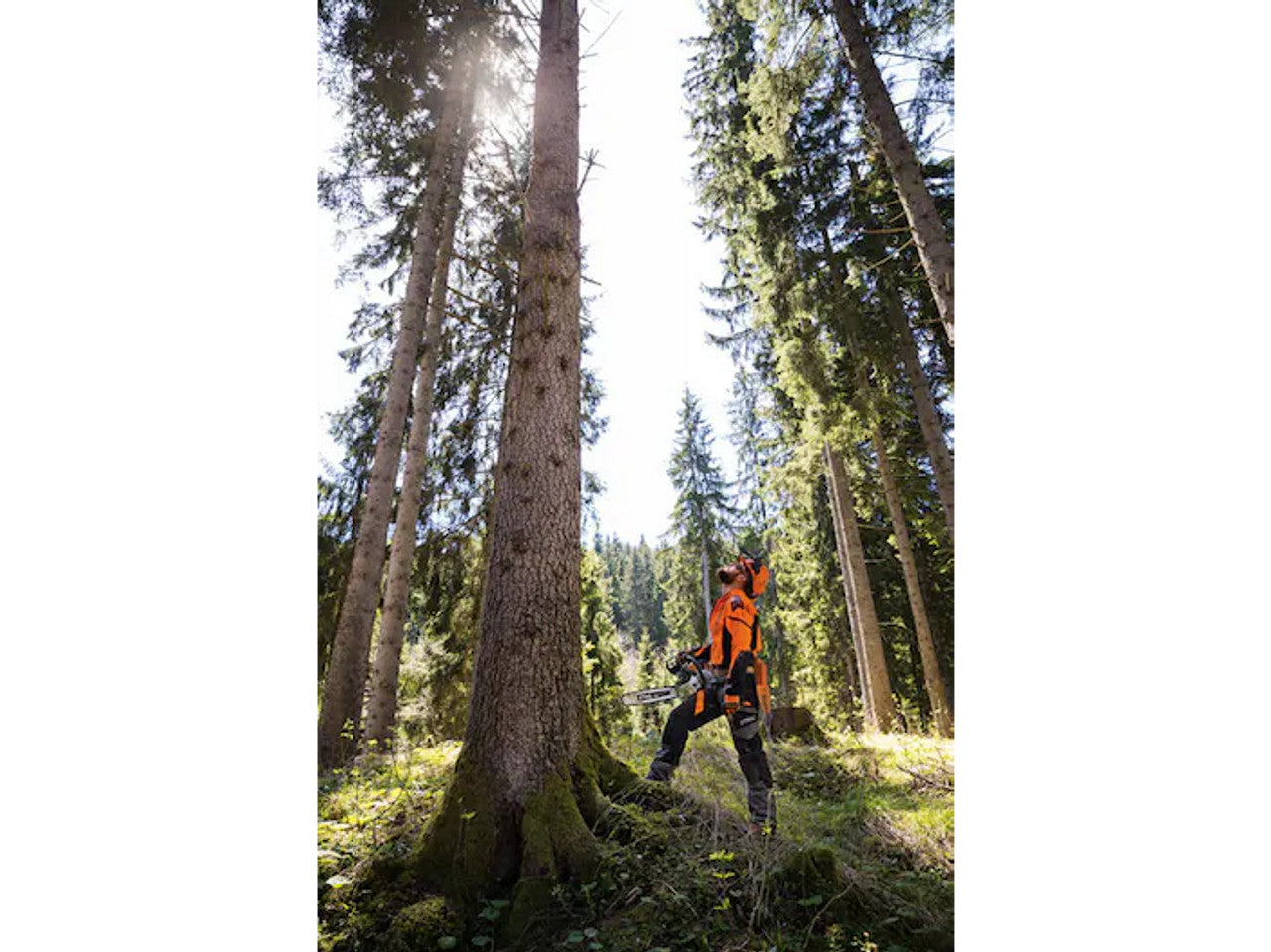 Stihl STIHL-MS462CM-20 MS 462 CM Chainsaw 20in Bar