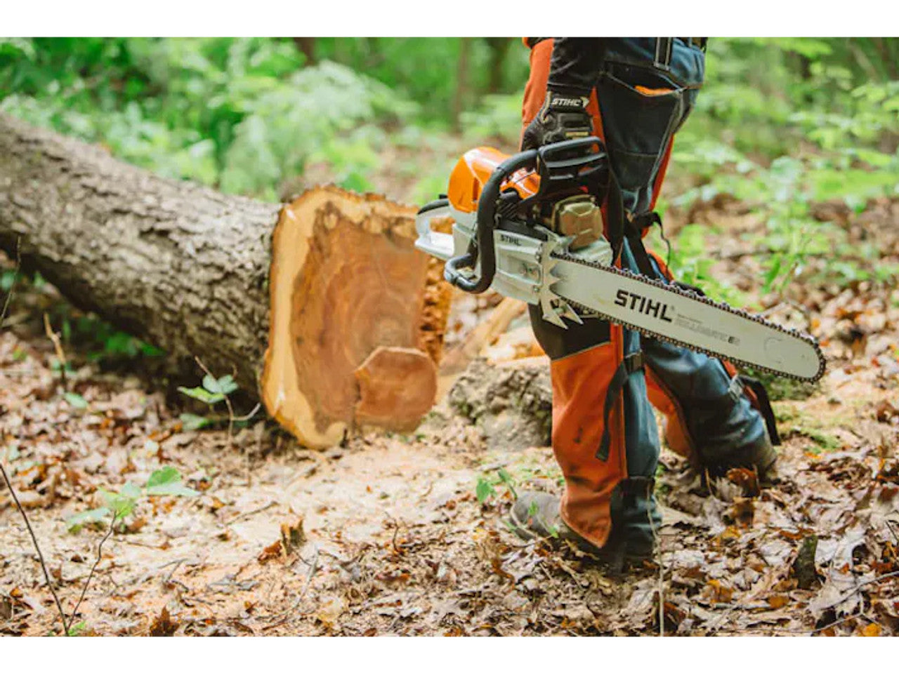 Stihl STIHL-MS462CM-20 MS 462 CM Chainsaw 20in Bar